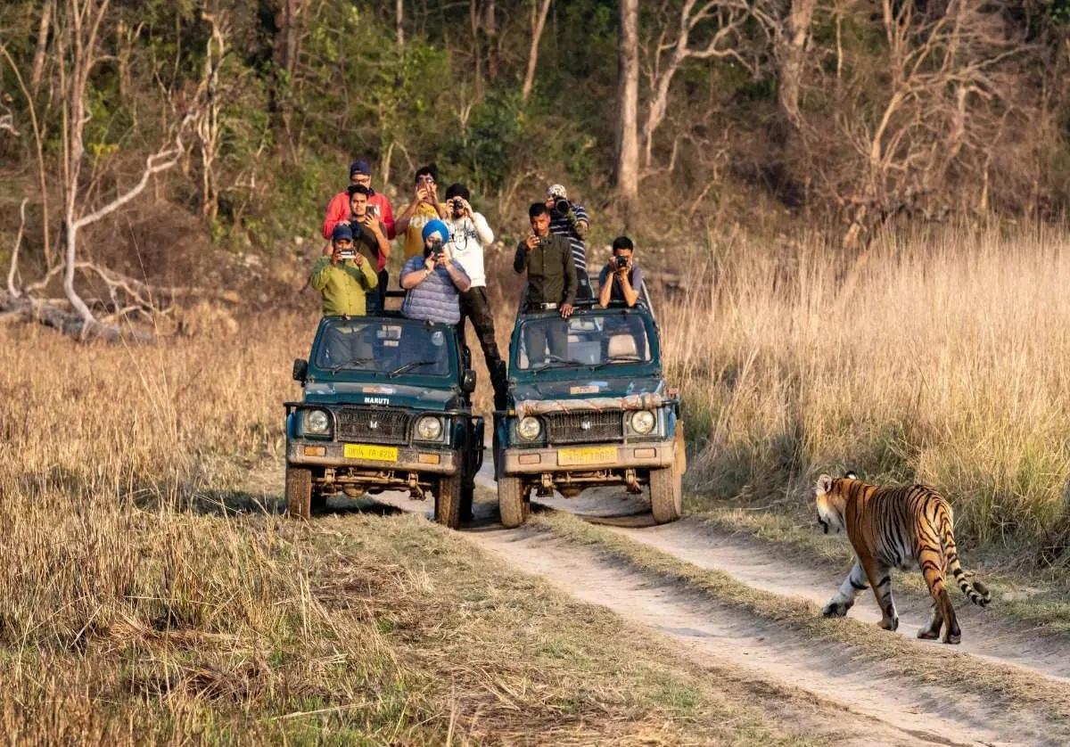 Uttarakhand Wildlife Tour Package (Jim Corbett + Rajaji)